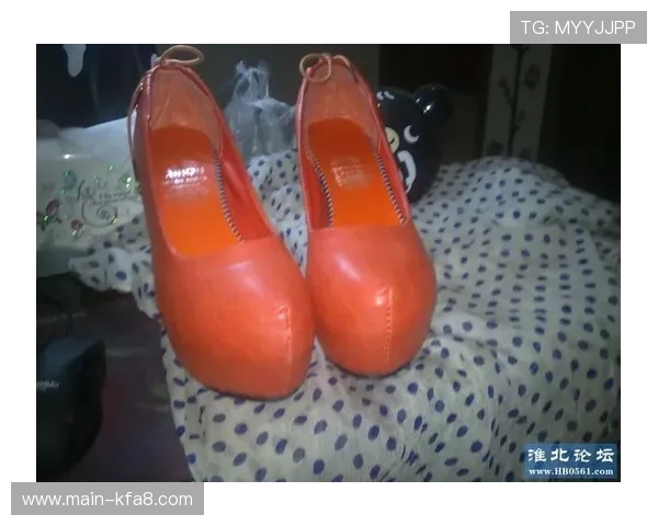 凯发国际官网首页网址官方入口导航及快速登录方法